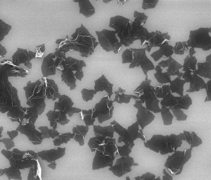Dispersed graphene flakes under SEM
