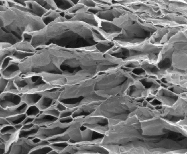 SEM of PREMIUM Graphene foam-like structure