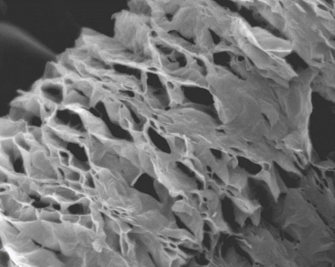 SEM of ULTRA Graphene foam