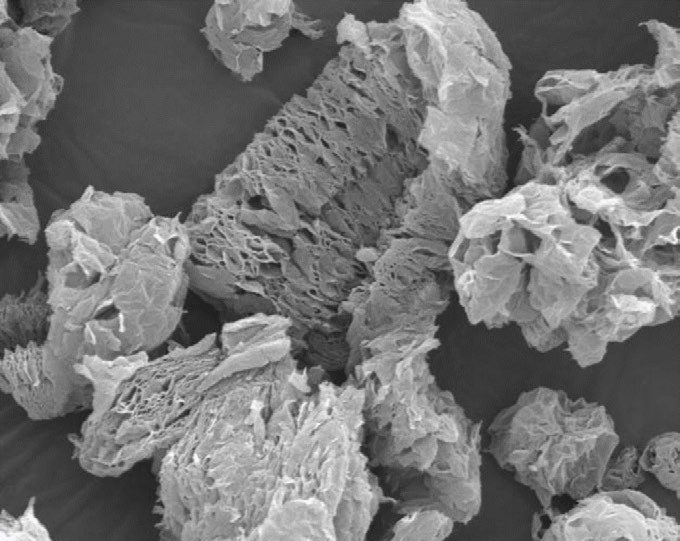 SEM image of a graphene particle