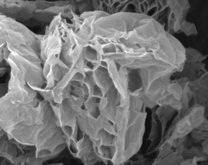 SEM image of ULTRA Graphene